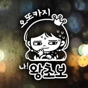 오또카지 나 왕초보 / 자동차스티커 초보운전 반사시트지