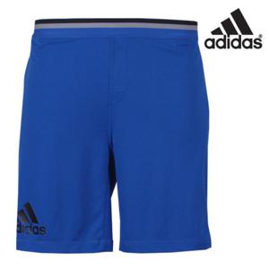 아디다스 남성 클라이마칠 트레이닝 반바지 - S94463