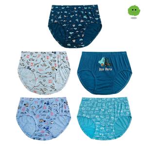 블루핀키즈 BMP-3003 남아동 레이온 삼각팬티 5매입