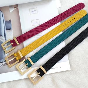 CB2113 컬러 가죽 벨트 팔찌 / 4컬러