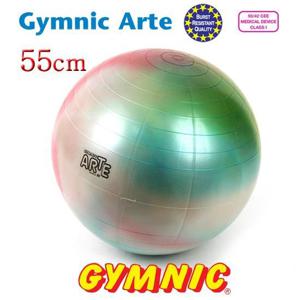 [Gymnic] 짐닉 Arte 무지개짐볼 55cm 이태리산