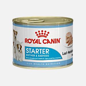 로얄캐닌 독 미니 스타터무스 캔 195g 강아지 사료