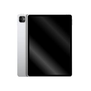 Apple 아이패드 프로 11 5세대 M4 스탠다드 글래스 실버 256GB, WiFi전용 MVV93KH/A 국내정품 Ss