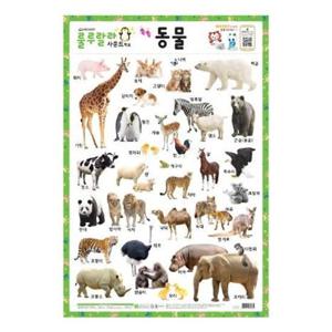 새샘 사운드벽보 룰루랄라 동물/520mmx765mm (1개)