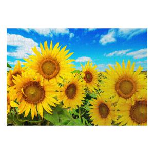 명화 풍경 직소퍼즐 1000피스 해바라기 들판 PG1021