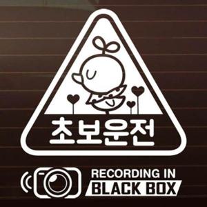 아트박스/제제데코 SET_초보운전 삐약이_세모+블랙박스 [자동차