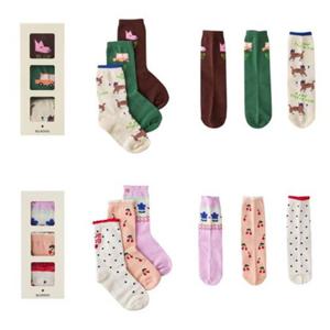 [블루독8-키즈] 택1 도기3종단말세트 데일리삭스 양말 조카세돌선물 초등학생 25A1981008