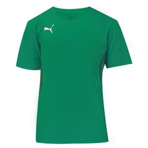 푸마 팀골 저지 반팔티 스포츠 티셔츠 65863605