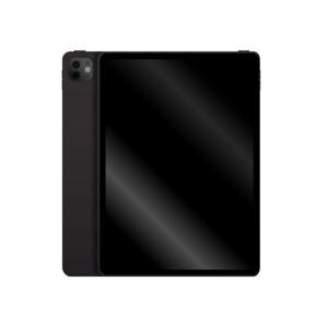 Apple 아이패드 프로 11 5세대 M4 스페이스 블랙 256GB, 셀룰러 MVW13KH/A 국내정품 Ss