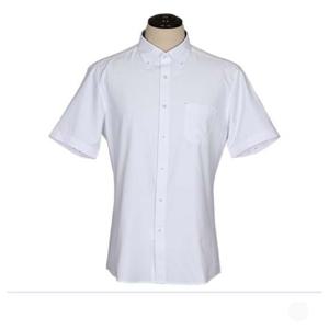 보스 카라 반팔 셔츠