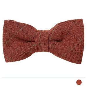 두꺼운 오렌지 보타이