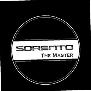 쏘렌토 더마스터 매립형 LED 차량 도어 라이트 2P세트