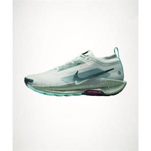 NIKE 페가수스 트레일 5 GORE-TEX M - 라이트 실버클레이 그린민트 폼씨위드 FQ0908-013 1526406