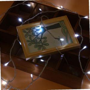 오스타 LED 100구 투명선 백색 줄전구 10m 야외 점멸