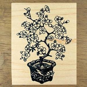 아트박스/스탬프 하우스 매화 분제