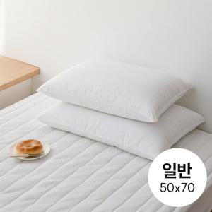 알러지케어 마이크로화바 다운필 베개솜 5070