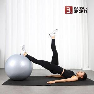 [반석스포츠] 스타일짐볼 75cm/운동책자증정/다이어트/요가/홈트