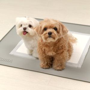 펫토리아 안밀려 논슬립 강아지 실리콘 배변매트 대형
