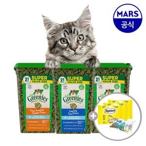 필라인 그리니즈 대용량 595g (택1)+캣닢쿠션+템테이션12gx3팩