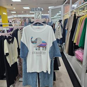 수스 DP01 코끼리 S252BTS475