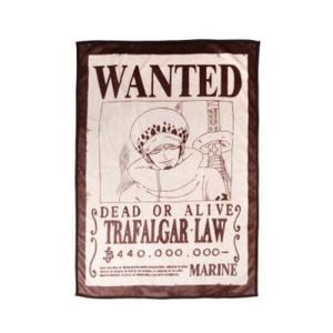 아트박스/바이토리 원피스 극세사 원티드 무릎담요 로우