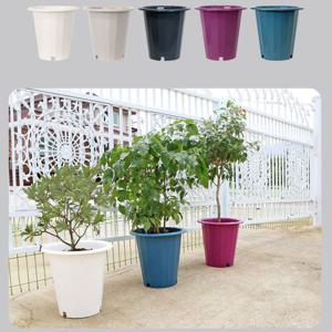 플라팜 글로리 화분 대형 12L 20개 세트 플라스틱화분 원형화분 거실화분 실외화분