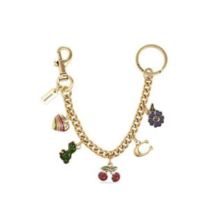 코치 키링 CN119B4L38