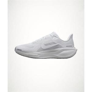 NIKE 페가수스 41 W - 화이트퓨어 플래티넘메탈릭 실버화이트 FD2723-102 1525896