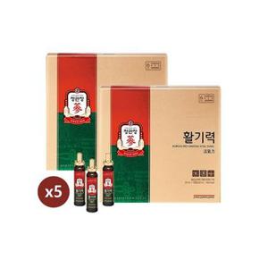 [정관장]활기력 20ml x 16병 5박스 (80일분)