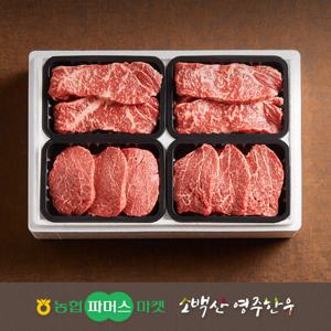 [냉장/1++][농협영주한우]정성드림 실속 구이세트5호 (안심x2/채끝x2) / 1.2kg