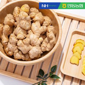 [안동농협] 품질보장 농협 흙 생강2kg