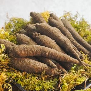 [미식한가] 제주산 향긋한 흙더덕 2kg (중품)