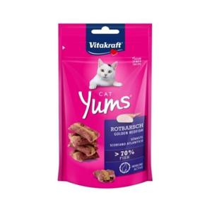 비타크래프트 캣얌 골든 레드 피쉬 40g 고양이져키