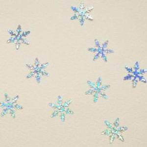 아트박스/도토리클래스 엘사실버눈꽃스팡클100p