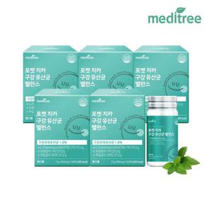 메디트리 포켓 치카 구강유산균 밸런스 5박스 입 속 덴탈케어