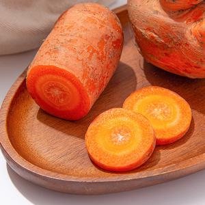 [더조은] 제주 구좌 당근 못난이 주스용 10kg / 실중량 9kg