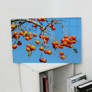 아트박스/꾸밈 tc755-폼아크릴액자58CmX38Cm_돈들어오는감그림2