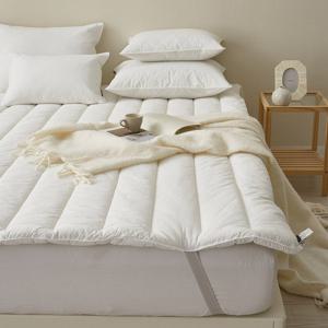 [샤이닝홈]샤르르 파우제 60수 순면 밴딩 토퍼 침대패드 SS