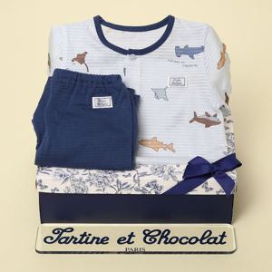 [쇼콜라]상어내의(출산백일돌선물)TNPRXS569B