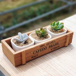 아트박스/진바스 원목 화분 받침대와 다육화분