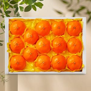 [맛딜] 제주 레드향 선물세트 4.5kg (14-18과)