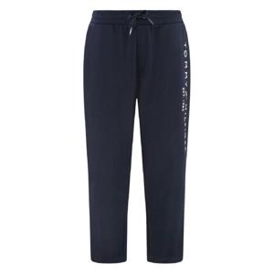 25 FW 타미힐피거 로고 자수 트랙팬츠 MW0MW08388 TP440044441