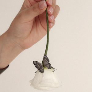 바이데이지 마카사이트 나비 오픈 실버 반지 Br0369