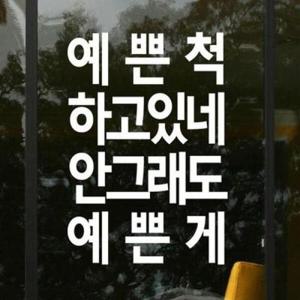 아트박스/꾸밈 ph501-예쁜척하고있네_그래픽스티커