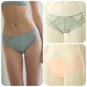 [비너스]잔잔한 패턴의 스트레치성이 좋은 노라인 햄팬티 VPTW623H