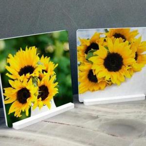 아트박스/꾸밈 tm475-스탠드액자2P_풍수노란해바라기
