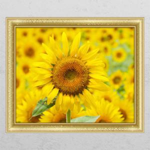 아트박스/꾸밈 ts327-해바라기동산03_창문그림액자