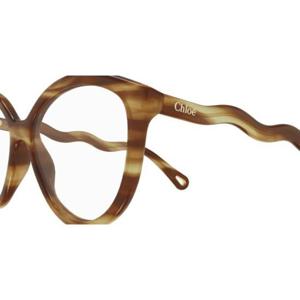 끌로에 선글라스 CH0089O 002 HAVANA HAVANA TRANSPA