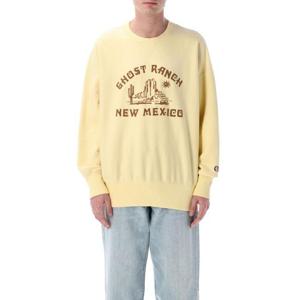 챔피온 긴팔 티셔츠 221107 YS149 VGD