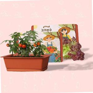 베란다텃밭화분 씨앗3종 흙 SET